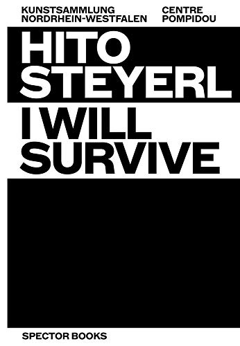 Hito Steyerl